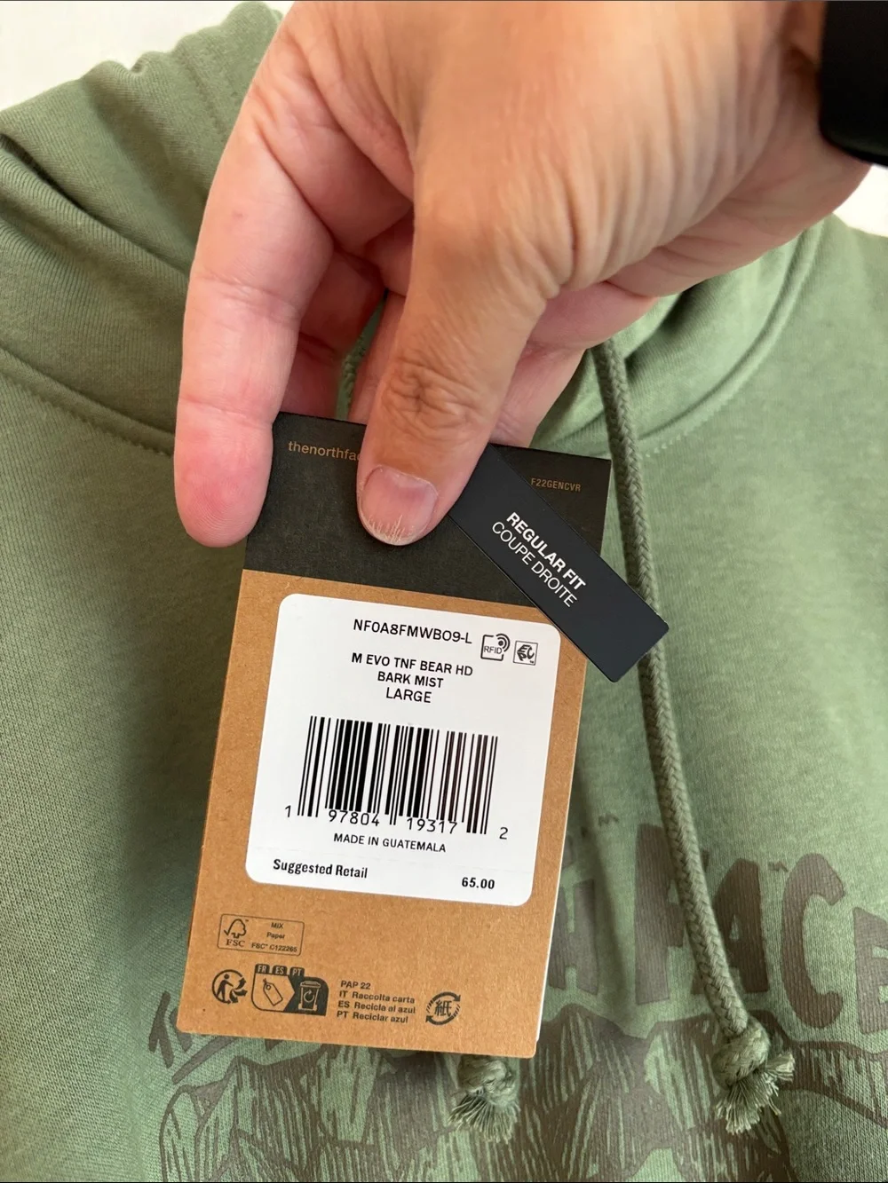 The North Face Mens Evolution TNF™ Bear Hoodie Graphic Sage Green Largr NWT soft